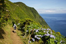 Portugal--Azores Island Hoping